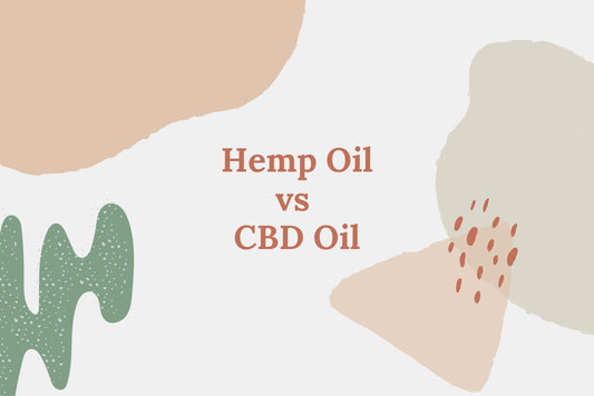 Decorative title graphic reading 'Hemp Oil VS CBD Oil' on abstract beige and green shapes.
