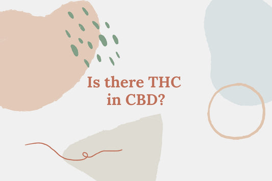 Decorative title with abstract shapes and centered text: 'Is there THC in CBD?'