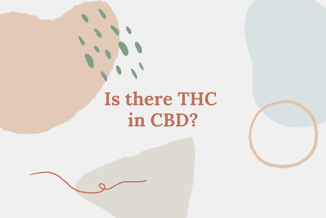 Is There THC in CBD Oil?