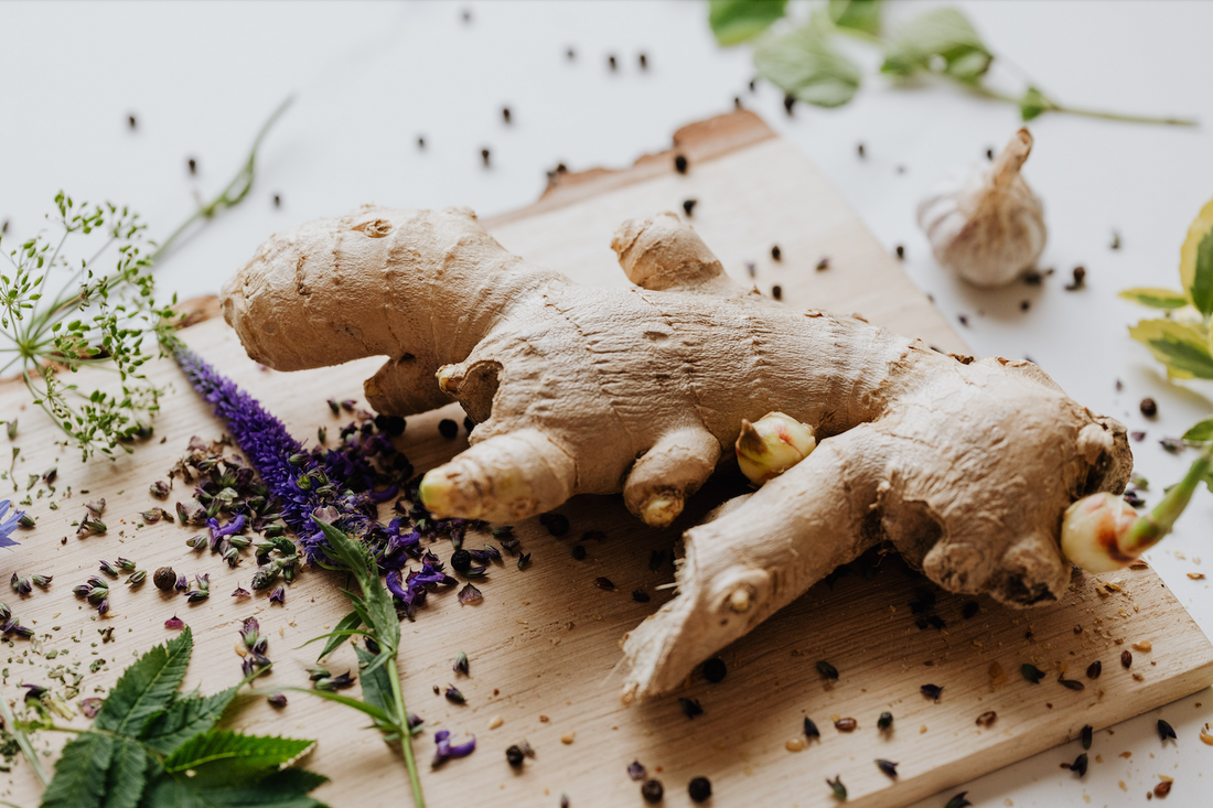 Fresh ginger root with garlic, herbs and scattered peppercorns on a wooden cutting board