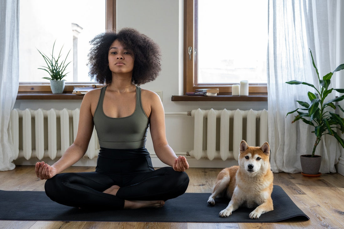 Young woman meditating cross-legged on a yoga mat in a sunlit living room with a Shiba Inu dog beside her.