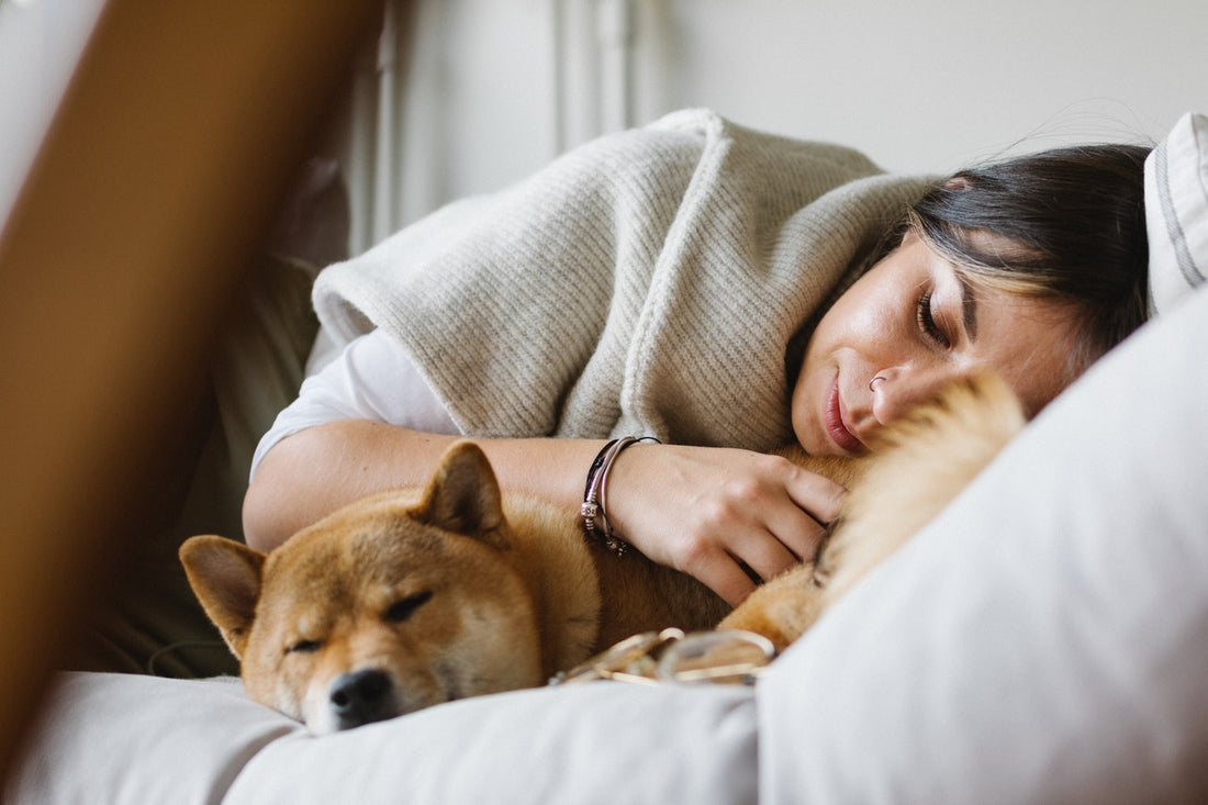 Woman lying on a couch cuddling a sleeping Shiba Inu dog.