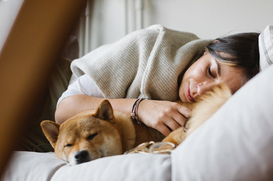 Woman lying on a couch cuddling a sleeping Shiba Inu dog.