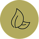 patrol_placeholder_bae6a61e0b4364bd3a1dc267530743b0